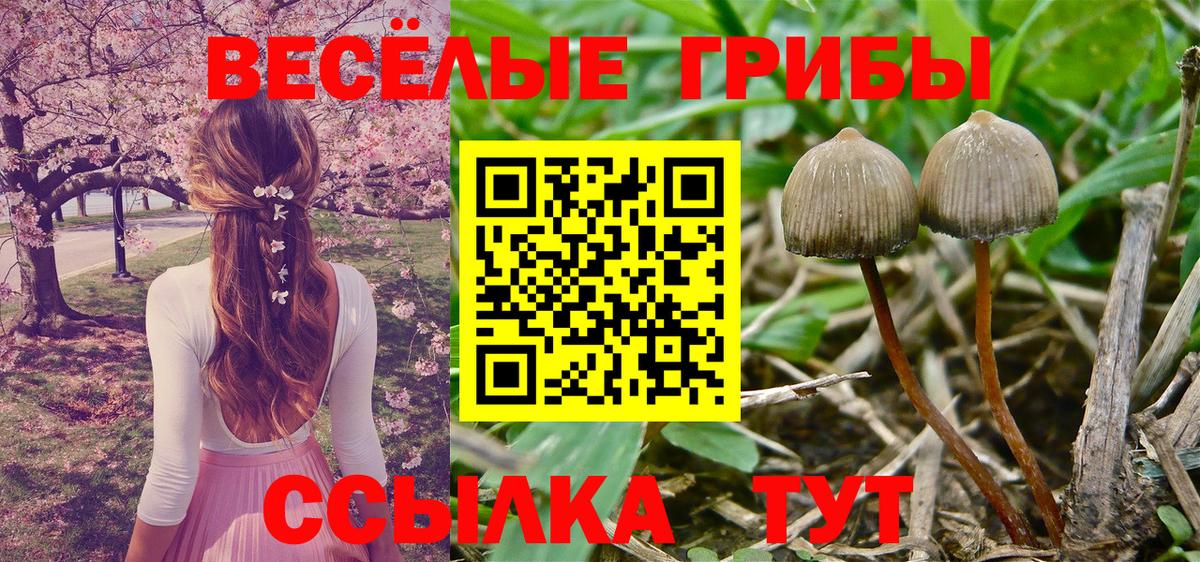 APVP Люберцы